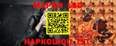 гидра Кингисепп