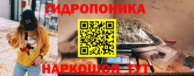 гидра Кингисепп