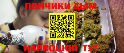 гидра Кингисепп