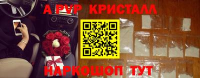 гидра Кингисепп