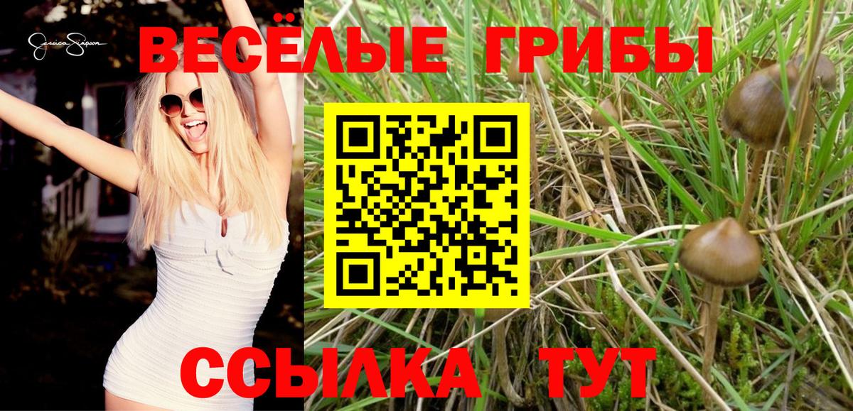 Псилоцибиновые грибы мицелий Феодосия