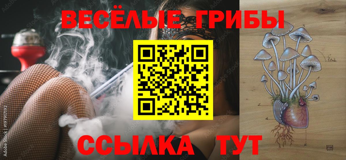 цена наркотик  Вход с VPN  Псилоцибиновые грибы прущие грибы  Феодосия  Псилоцибиновые грибы прущие грибы 